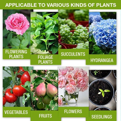 Plant Nutrient Solution for Home and Garden Plants