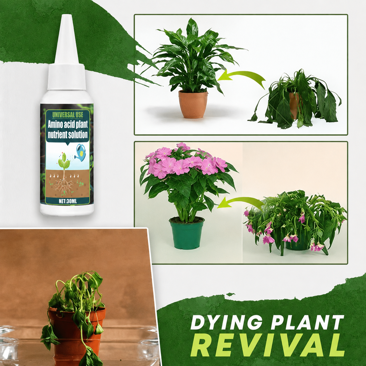 Plant Nutrient Solution for Home and Garden Plants
