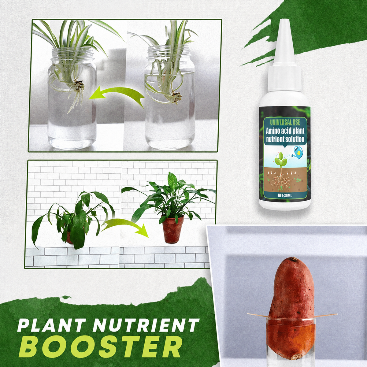 Plant Nutrient Solution for Home and Garden Plants